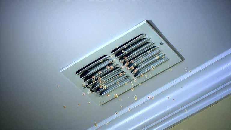 Best Air Vent Cleaning Services  in Chinle, AZ