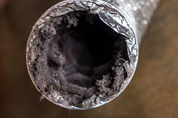 Best Affordable Air Duct Cleaning  in Chinle, AZ
