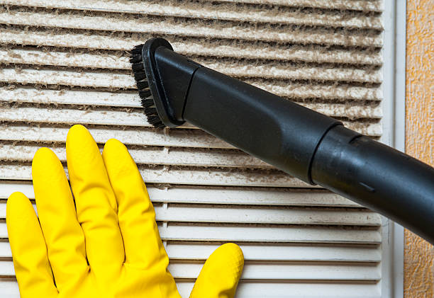 Best Ductwork Cleaning Services  in Chinle, AZ