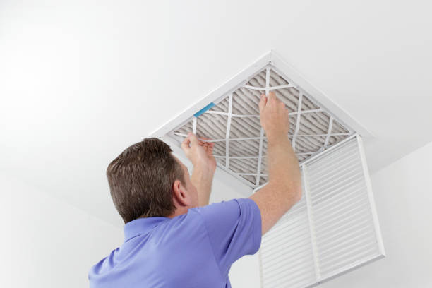 Best Residential Air Duct Cleaning  in Chinle, AZ